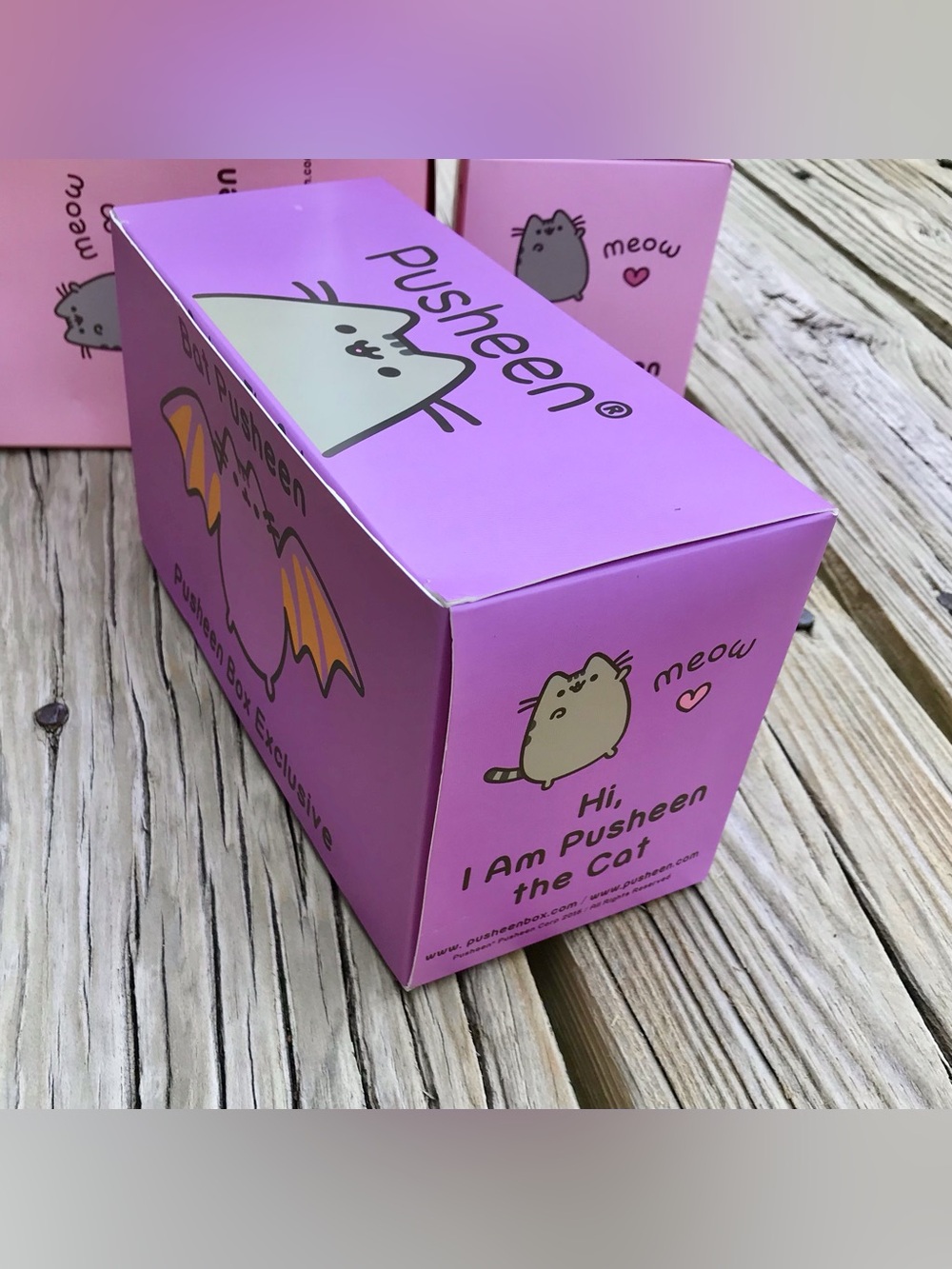 2016 PUSHEEN Cat Bat Halloween Subscription Box Vinyl Figure Toy Decoration - Picture 10 of 11